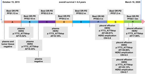 alimta elisa kit|alimta administration timeline.